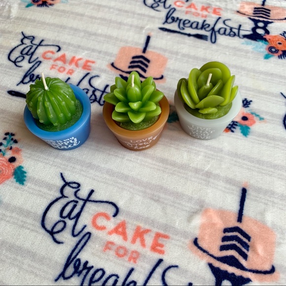 🌵 Cactus Succulent Decorative Candles 🌵 - Picture 3 of 7